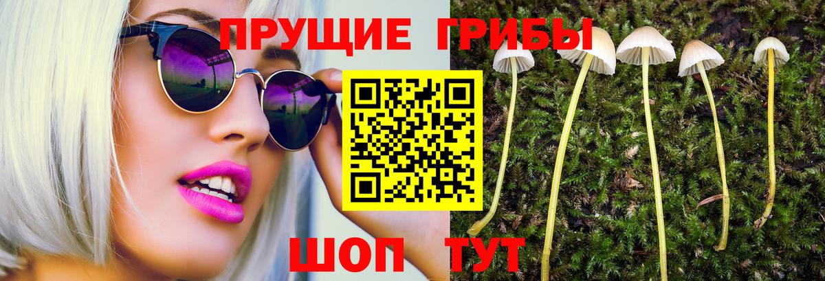Чусовой  Псилоцибиновые грибы Psilocybe  купить   Вход с VPN 